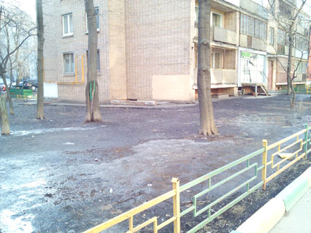 450x338  51 KB. Big one: 3264x2448  1528 KB