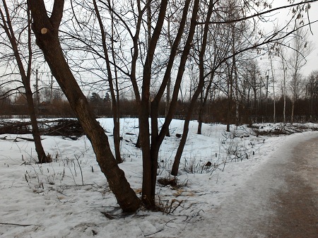 450x337  91 KB. Big one: 2560x1920  2231 KB