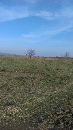 253x450  50 KB. Big one: 1440x2560  1272 KB