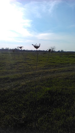 253x450  44 KB. Big one: 1440x2560  971 KB