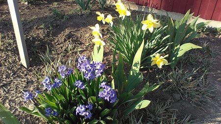 450x253  97 KB. Big one: 2560x1440  1890 KB