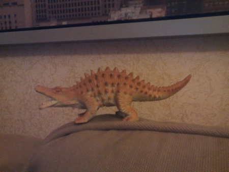 450x338  113 KB. Big one: 3264x2448  862 KB