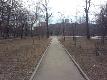 450x338  46 KB. Big one: 3264x2448  3919 KB