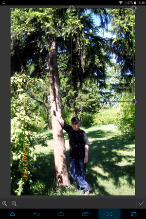 300x450  322 KB. Big one: 768x1024  1129 KB