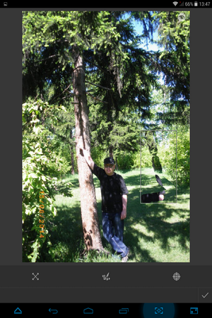 300x450  278 KB. Big one: 768x1024  1003 KB