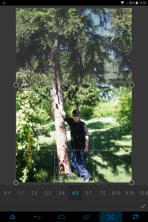 300x450  266 KB. Big one: 768x1024  922 KB