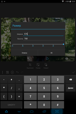 300x450  85 KB. Big one: 768x1024  236 KB
