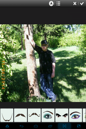 300x450  284 KB. Big one: 768x1024  869 KB