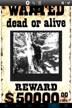 300x450  217 KB. Big one: 768x1024  758 KB