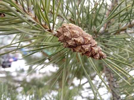 450x338  53 KB. Big one: 4160x3120  2204 KB