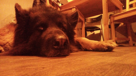 450x253  54 KB. Big one: 3584x2016  1748 KB