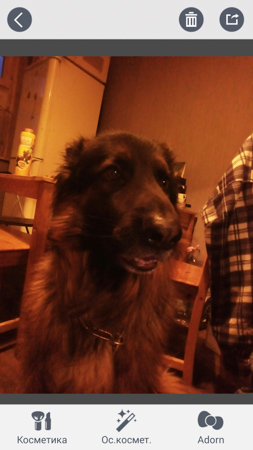 253x450  59 KB. Big one: 844x1500  402 KB