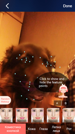 253x450  49 KB. Big one: 844x1500  417 KB