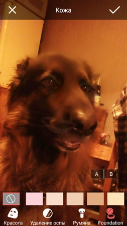 253x450  44 KB. Big one: 844x1500  392 KB