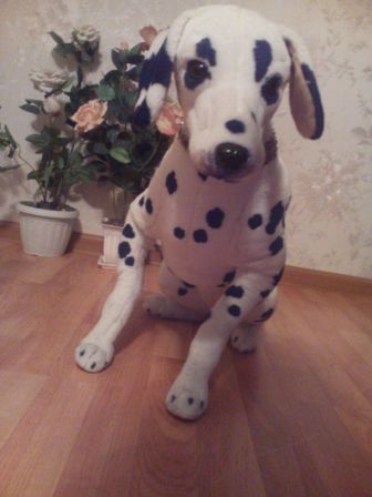 336x448  29 KB. Big one: 2448x3264  1337 KB