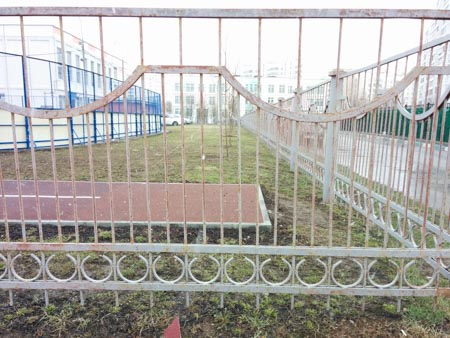 450x338  49 KB. Big one: 3264x2448  2001 KB