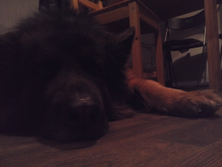 450x338  50 KB. Big one: 3264x2448  499 KB