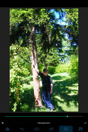 300x450  274 KB. Big one: 768x1024  1009 KB