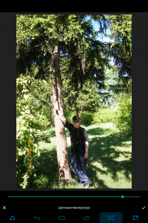 300x450  271 KB. Big one: 768x1024  1002 KB