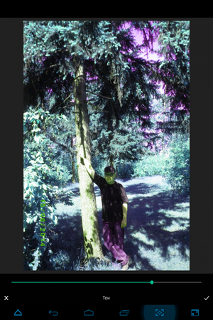 300x450  269 KB. Big one: 768x1024  998 KB