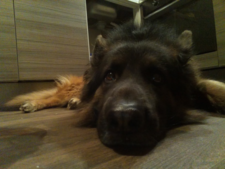 450x338  58 KB. Big one: 2560x1920  1509 KB