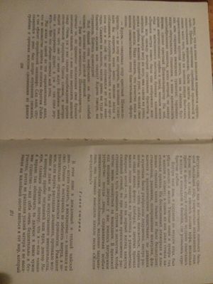 300x399  27 KB. Big one: 3264x4352  4174 KB