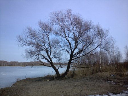 450x338  53 KB. Big one: 3264x2448  3586 KB