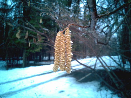 450x338  52 KB. Big one: 3264x2448  2146 KB