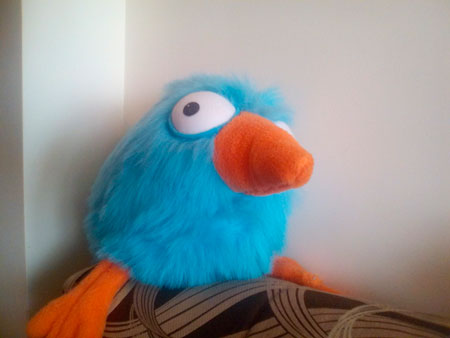 450x338  22 KB. Big one: 1600x1200  257 KB