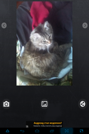 300x450  223 KB. Big one: 768x1024  667 KB