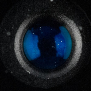 300x300  28 KB. Big one: 544x544  154 KB