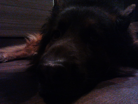 450x338  50 KB. Big one: 2560x1920  704 KB