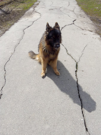 338x450  49 KB. Big one: 3120x4160  2889 KB