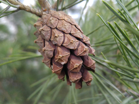 450x338  50 KB. Big one: 3984x2988  1731 KB