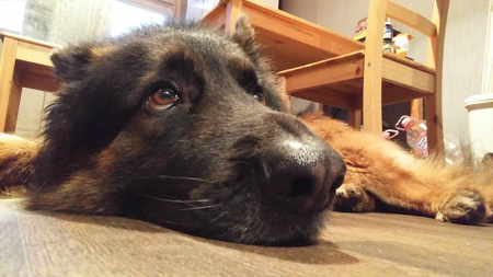 450x253  54 KB. Big one: 3264x1836  1199 KB