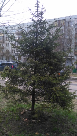 252x448  65 KB. Big one: 2304x4096  4454 KB