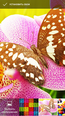 253x450  292 KB. Big one: 720x1280  1830 KB