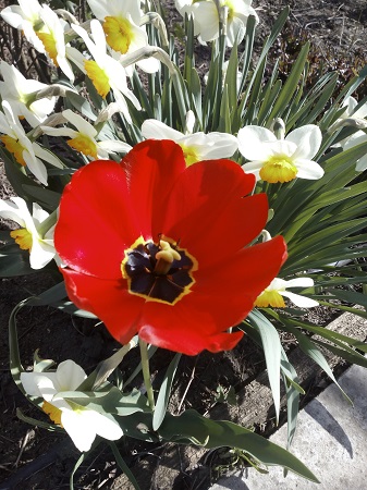 337x450  140 KB. Big one: 3120x4160  3497 KB