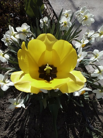 337x450  128 KB. Big one: 3120x4160  3371 KB