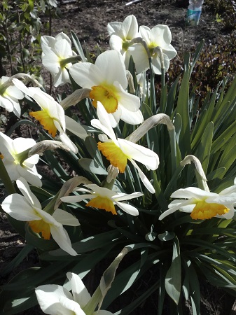 337x450  133 KB. Big one: 3120x4160  3264 KB