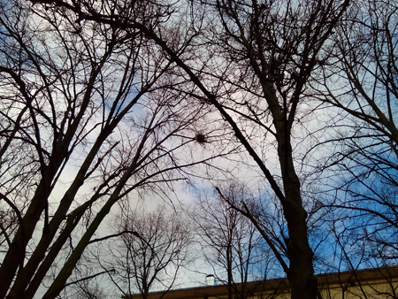 450x338  266 KB. Big one: 4160x3120  3352 KB