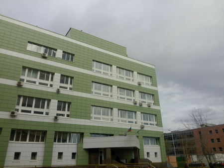 450x338  148 KB. Big one: 4608x3456  3423 KB