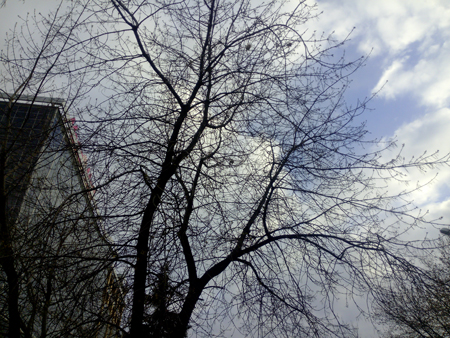 450x338  237 KB. Big one: 4608x3456  7079 KB