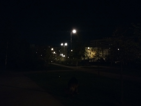 450x338  56 KB. Big one: 4928x3696  665 KB