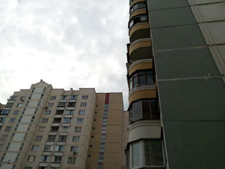 450x338  45 KB. Big one: 4928x3696  1615 KB