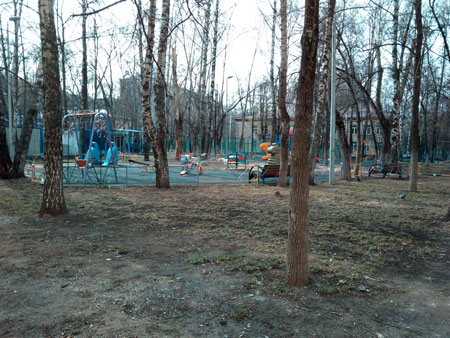 450x338  63 KB. Big one: 4160x3120  3199 KB