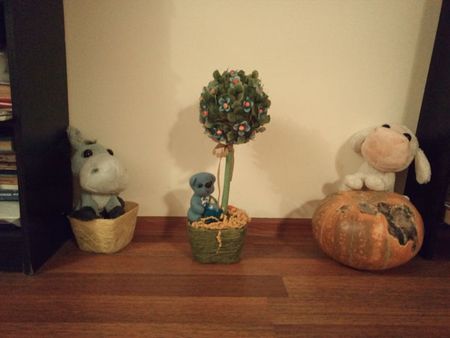 450x338  19 KB. Big one: 4160x3120  1511 KB