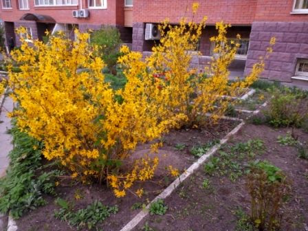 448x336  52 KB. Big one: 4160x3120  2658 KB