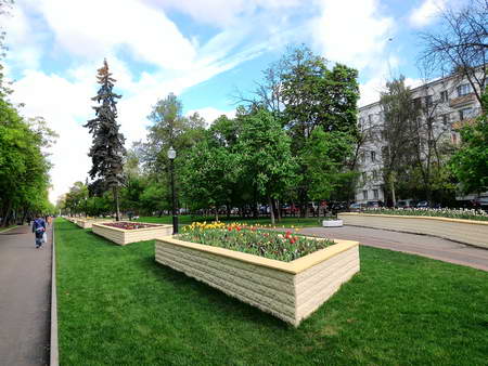 450x338  69 KB. Big one: 4096x3072  6457 KB