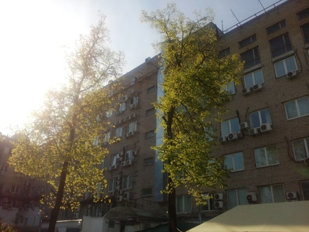 450x338  141 KB. Big one: 3264x2448  1741 KB